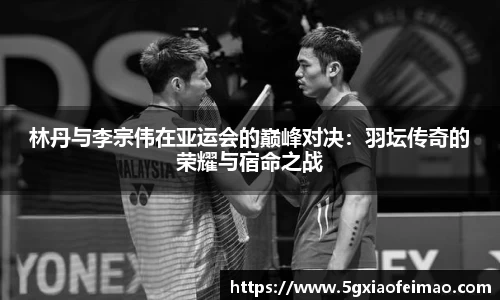 黑白体育直播在线观看篮球