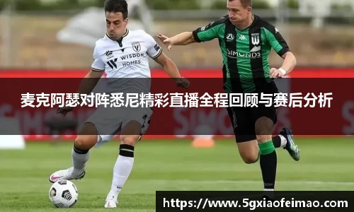 黑白体育直播体育